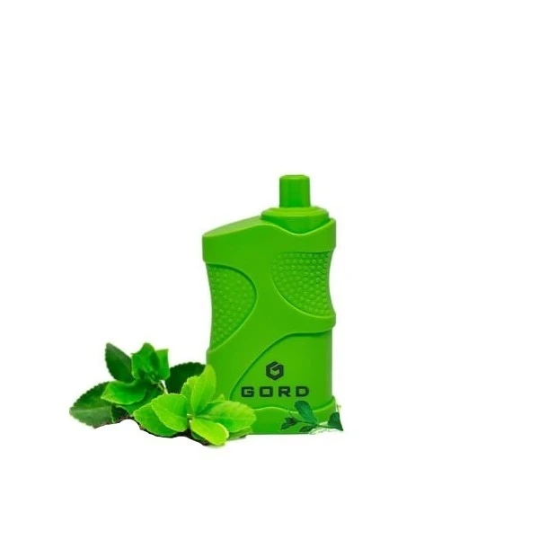 Одноразка GORD Ice Mint (Холодна М'ята) 4000