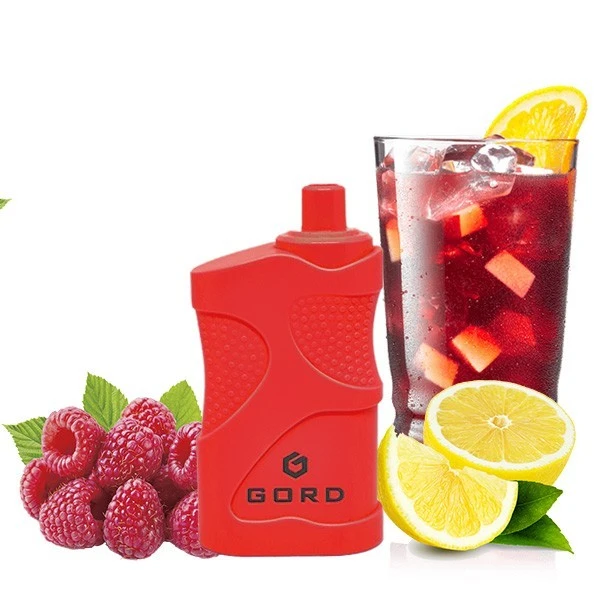 Одноразка GORD Raspberry Mojito (Малина Мохіто) 4000