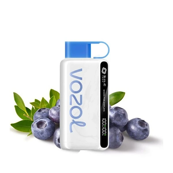 Одноразка Vozol Blueberry Storm (Ягідний Шторм) 12000