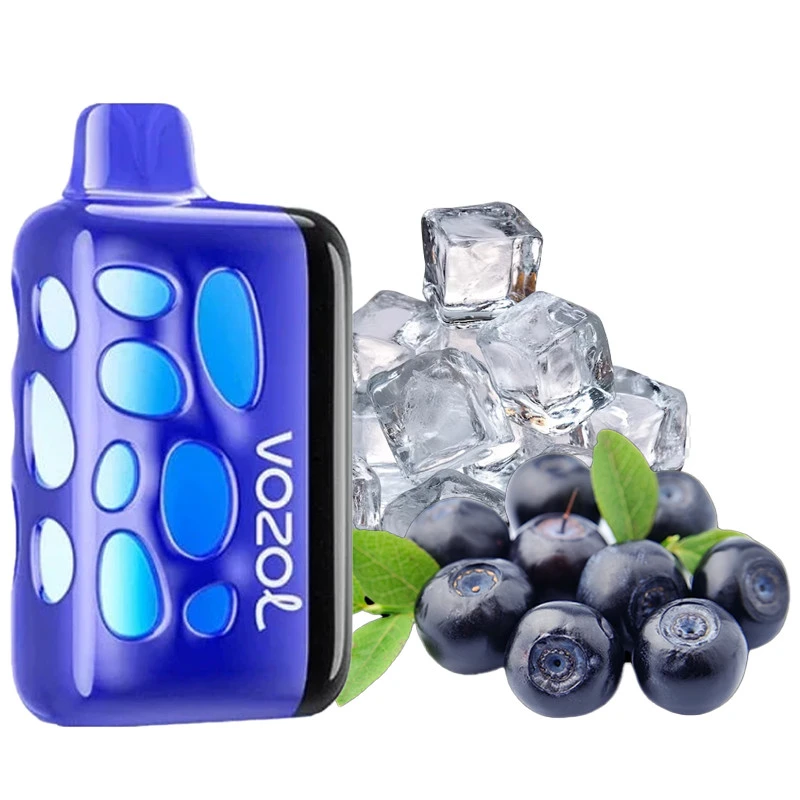 Одноразка Vozol Rave Blueberry Ice (Чорниця Лід) 40000