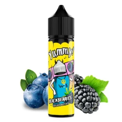 Набор Органической Жидкости WES Split Blackberries Blueberries (Ежевика Черника) 60 Мл 6Мг