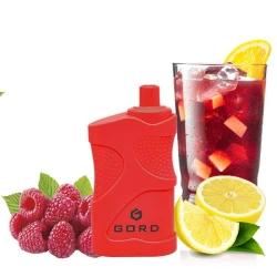Одноразка GORD Raspberry Mojito (Малина Мохіто) 4000