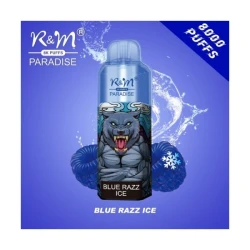 Одноразка R&M Legend Blue Razz Ice (Синяя Малина Лёд) 8000