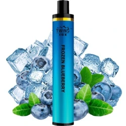 Одноразка Twins Ice Frozen Blueberry(Ледяная Голубика) 1500
