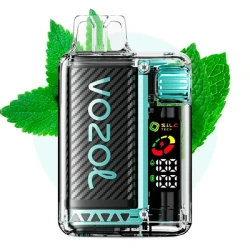 Одноразка Vozol VISTA Miami Mint (Мята) 20000