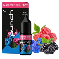 Набор Солевая Жидкость Punch - Raspberry Eden (Малиновый Микс Ежевика) 10 МЛ 50 МГ