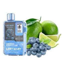 Одноразка Lost Mary Blueberry Lime (Черника Лайм) OS12000