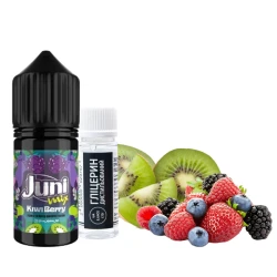 Сольова  Рідина JUNI Mix Kiwi Berry (Ківі Ягоди) 30 мл 50 мг Набір