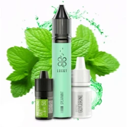 Солевая Жидкость LUCKY Salt Spearmint (Мятная Жвачка) 30 МЛ 50 МГ Набор